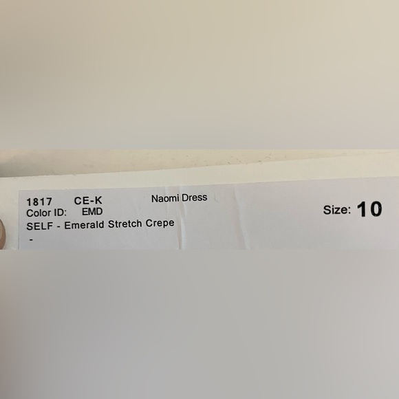 Jenny Yoo Naomi Dress in Emerald - Picture 6 of 6